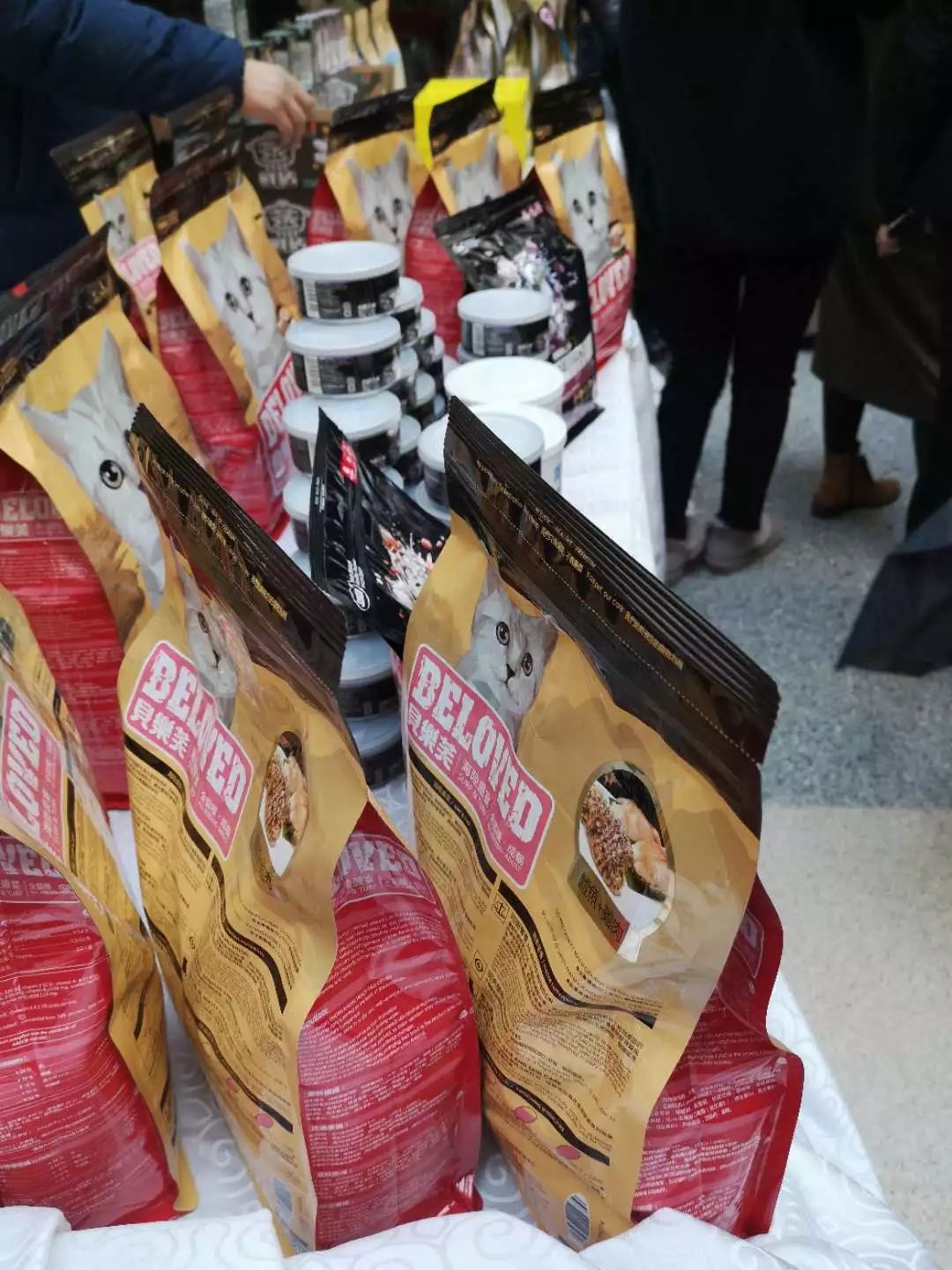 新闻综合广播｜「宠爱有家」之喵星驾到