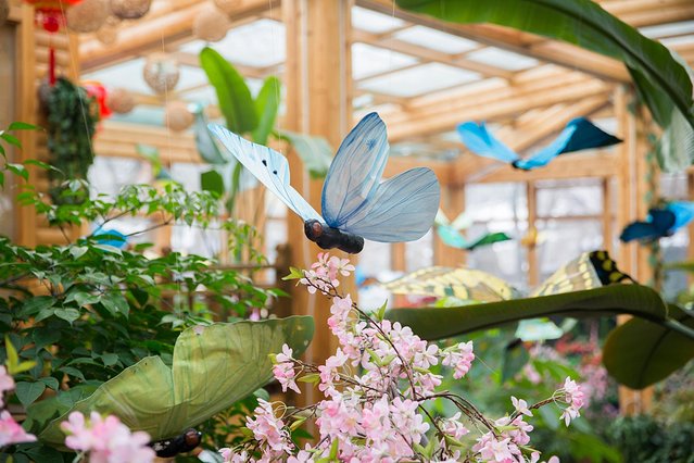 本溪游玩攻略10.1,本溪冬天游玩攻略