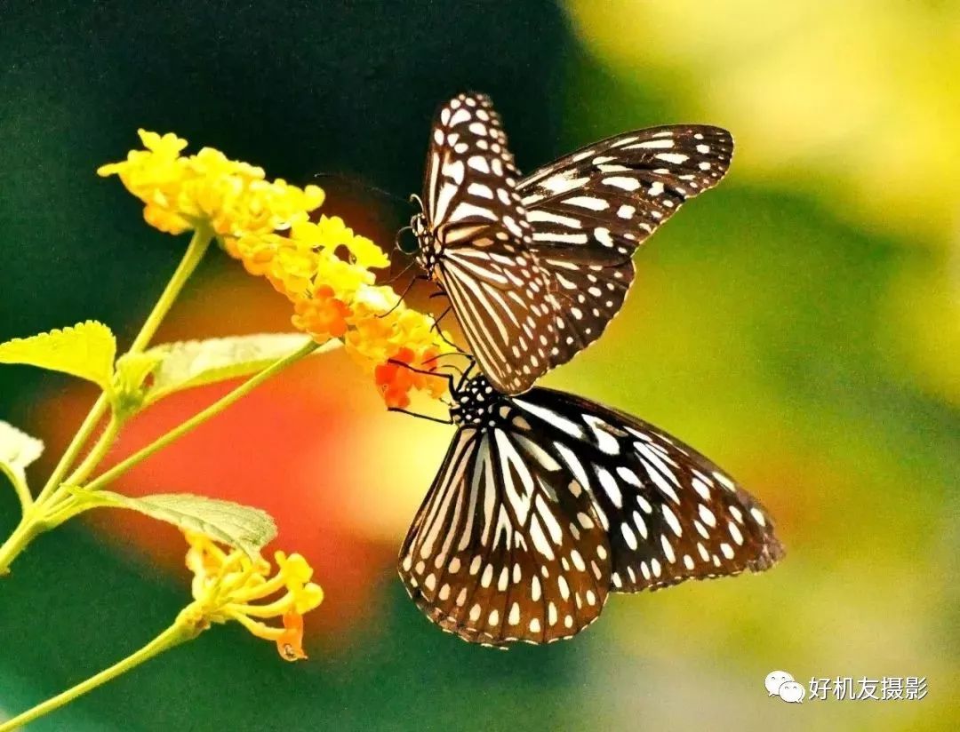 摄影初学者怎么选镜头,摄影初学者用什么镜头最好