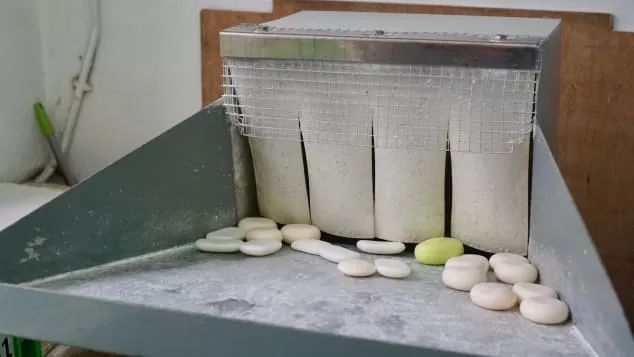 小肥皂骗局揭秘,酒店里没用完的肥皂都去哪了