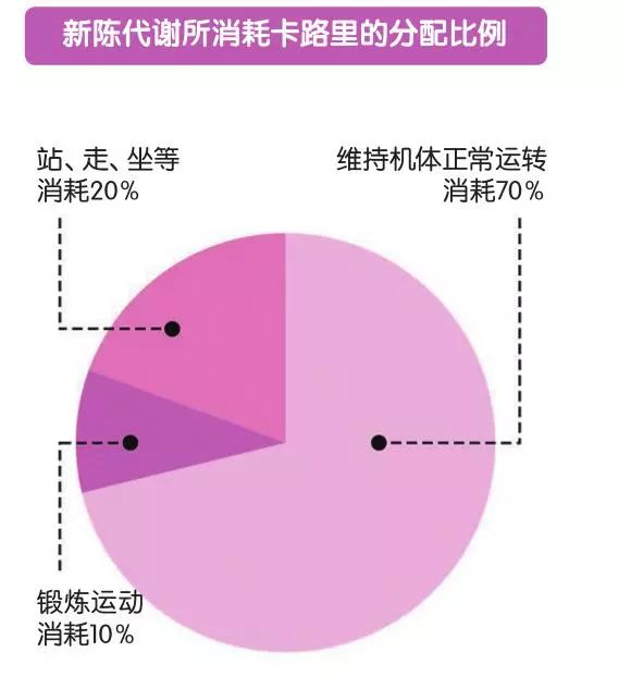 加快新陈代谢提高免疫力,如何加快皮肤的新陈代谢