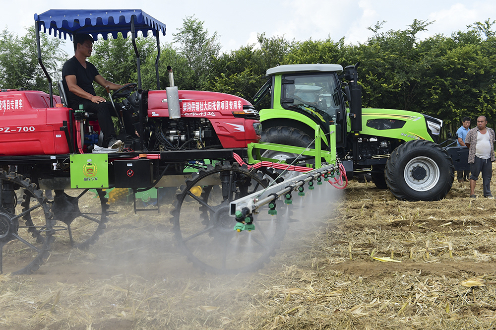 农村土地经营模式改革探讨,深化农村土地改革的政策与策略