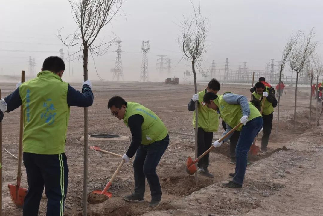 白银市共青团工作,金昌市共青团名单