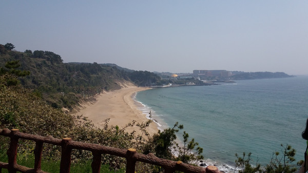 济州岛包车自由行之美食攻略