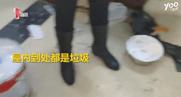 房子租给一对年轻人开门后续,房东将房子租给了一对小夫妻