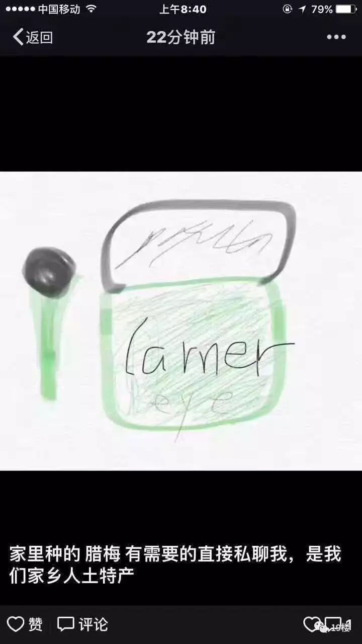 朋友圈代购画家,朋友圈代购手绘图