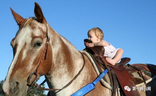 鬼马系列写真,马写真高清图片大全