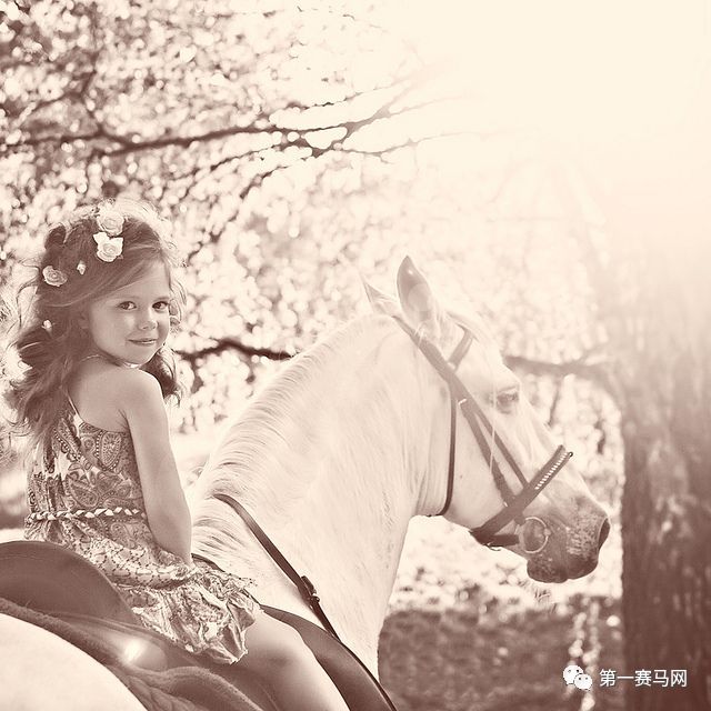 鬼马系列写真,马写真高清图片大全