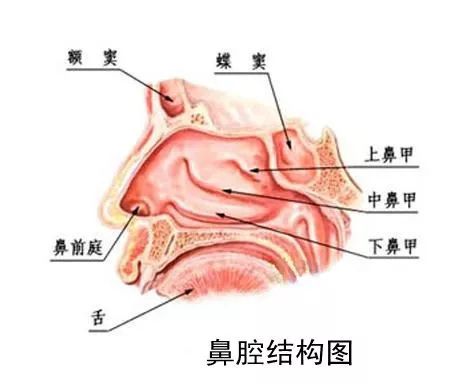 这个地方比“菊花”还脏，但即使生病，大部分人也从来不洗丨冬季专题