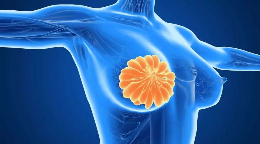 关于体检，看看你做对了吗？