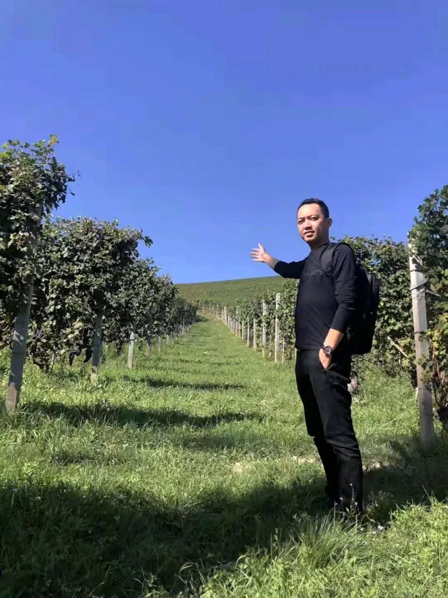 买进口年货不用去港澳人挤人！在珠海这里就能买买买！