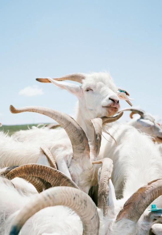 重新定义物流读后感,重新定价日是什么意思