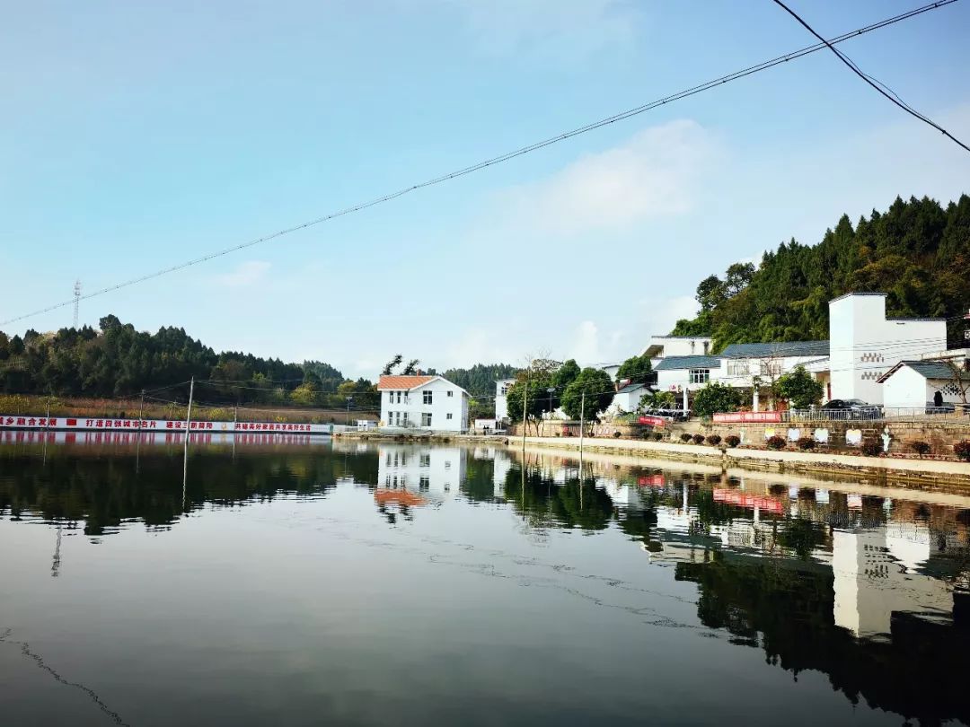 聚焦乡村振兴共建和谐美丽新农村,聚焦三农合村并居