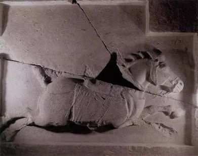 小寒丨穿越千年伴君共乘——丝绸之路上的马文化