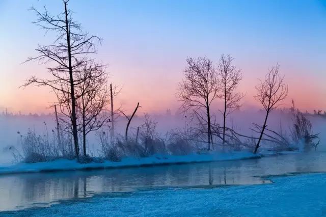 去越南旅游买什么特产带回来,来三亚旅游带点什么特产回家