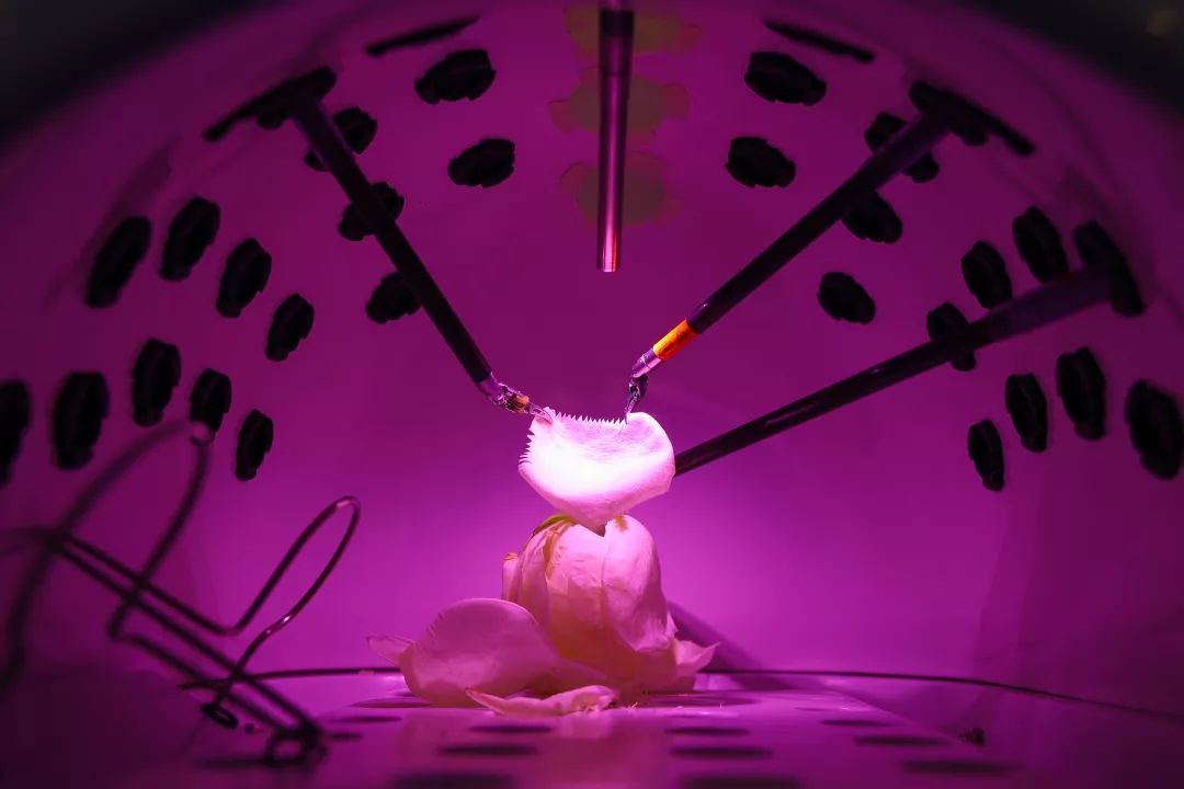 这就是中国2018年,2018新华社国际年度照片