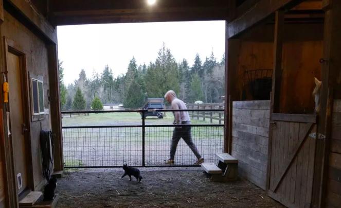 青少年网瘾治疗中心,成年人网瘾戒除机构