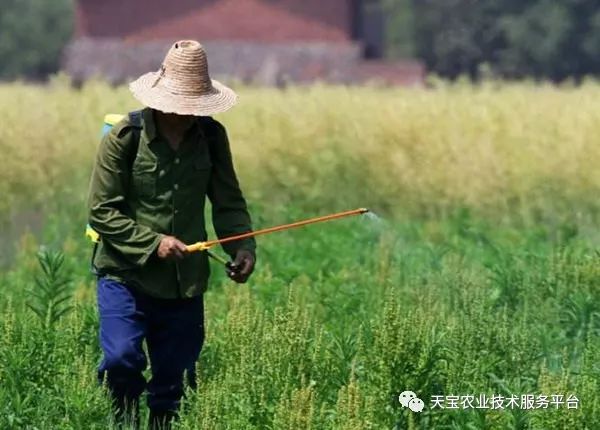 这些农药知识你一定要知道,农药四霉素缺点