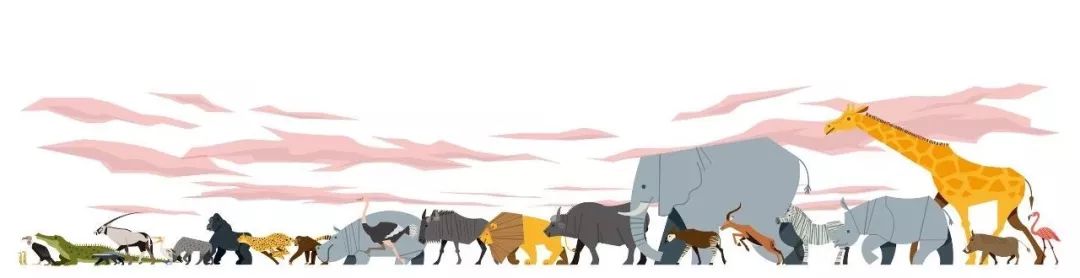 还有人养臭鼬当宠物,想不到吧日文