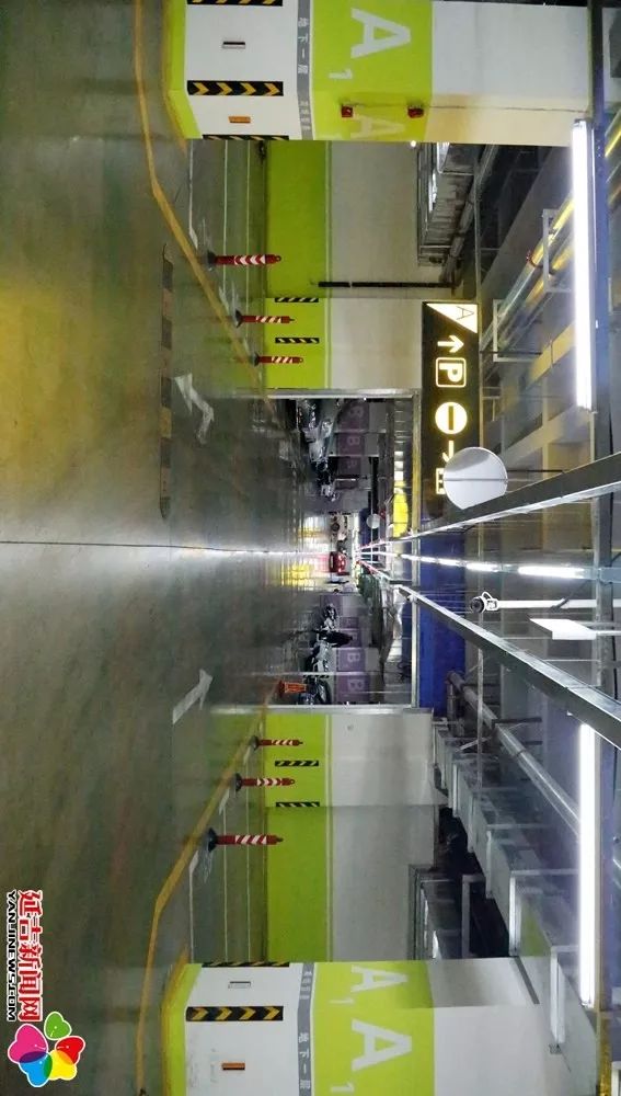 图|今非“西”比