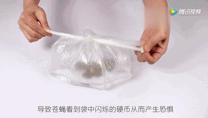 一勺洗衣粉,一勺洗衣粉让蟑螂断子绝孙