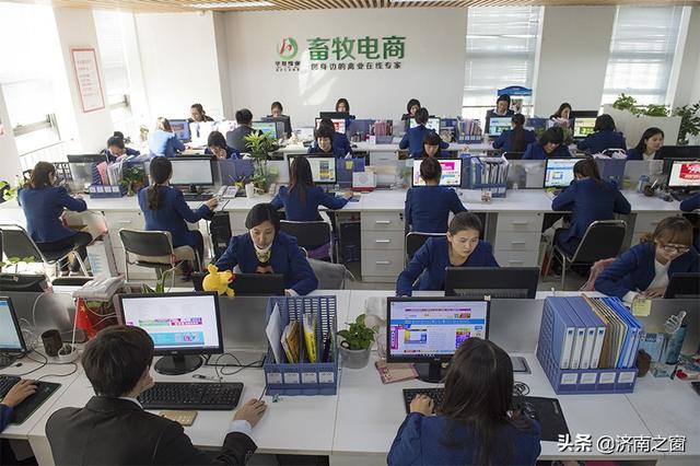 济南养猪第一人,济南电商前十名