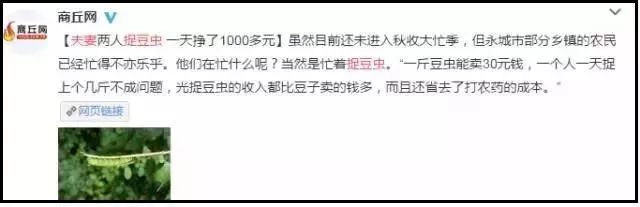 农村不可思议的东西,不可思议的新疆手工艺品