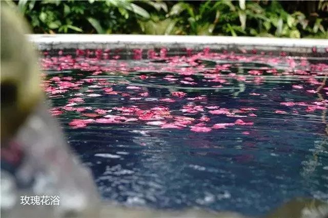 湛江海滨火山温泉景区,火山温泉广东