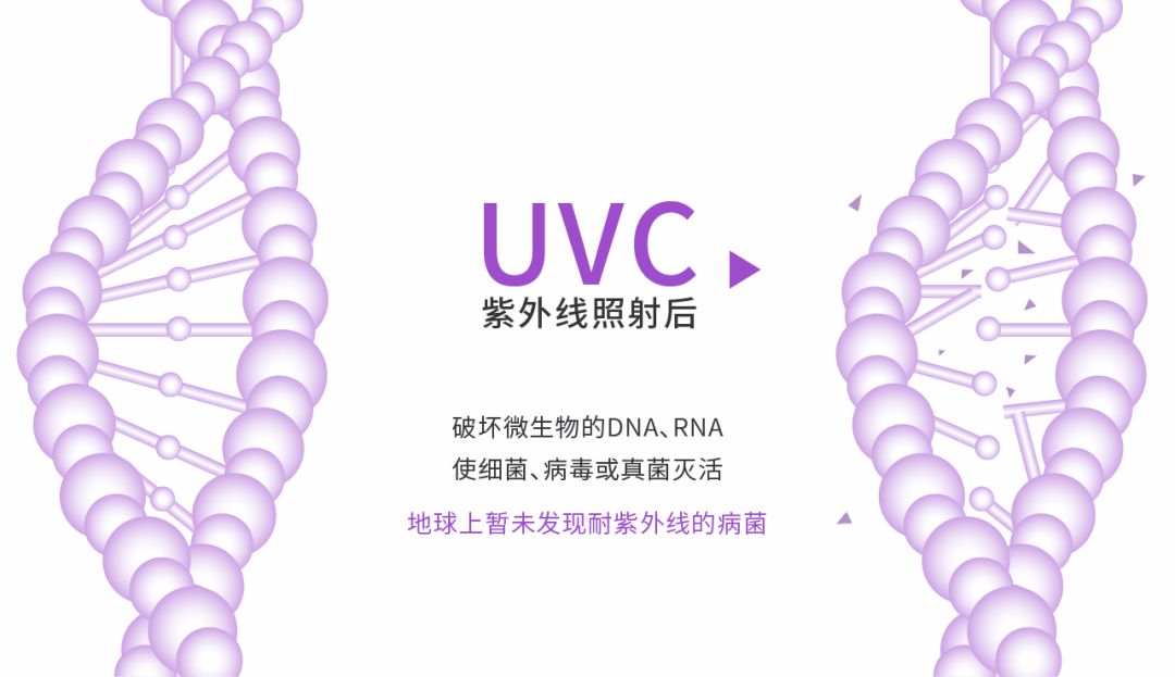 为什么大家都说酒店很脏,为什么酒店的房间很脏