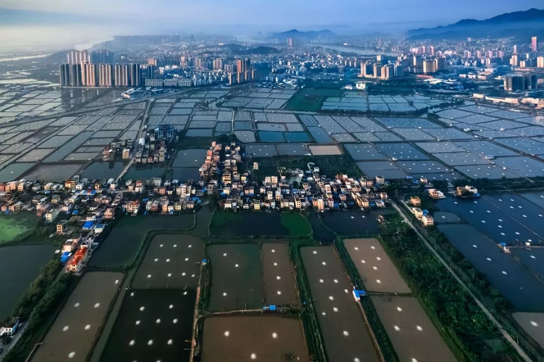 99%的斗门人都没看过的斗门，赶紧看！