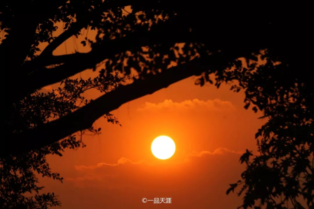 漳州大v排行,大v推荐传奇