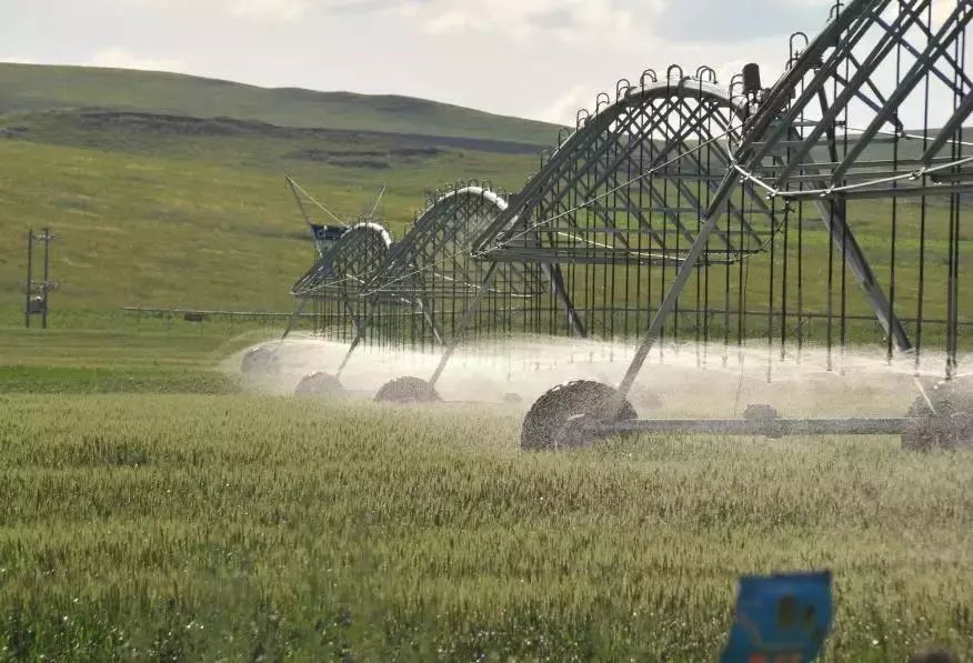 内蒙古两地通报5起典型案例,内蒙古48个村名单