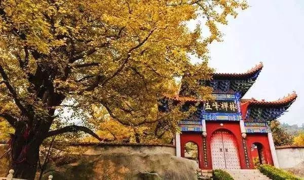 河北省九大风景区排名图,河北9大风景区