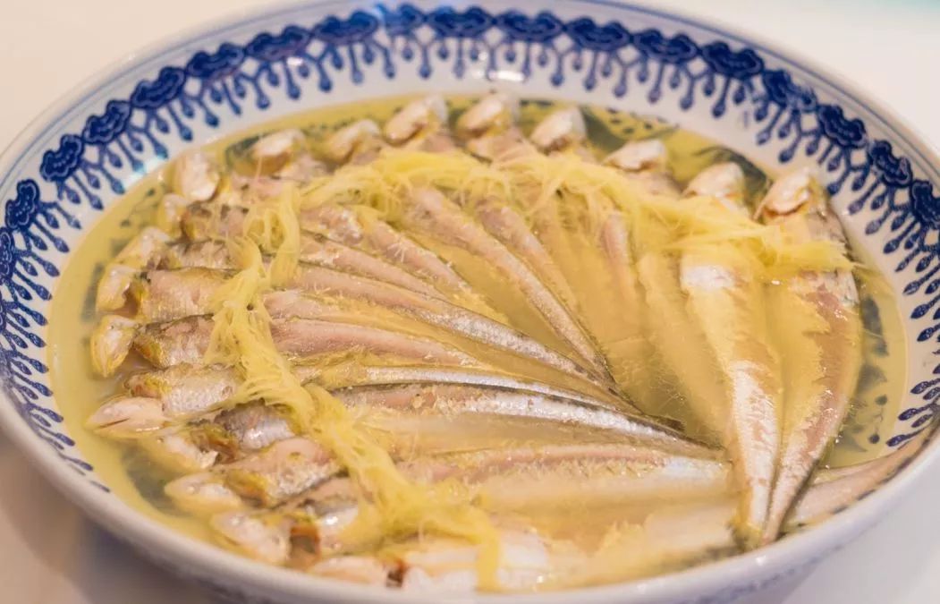 今日长江刀鱼消息,长江刀鱼现在的情况