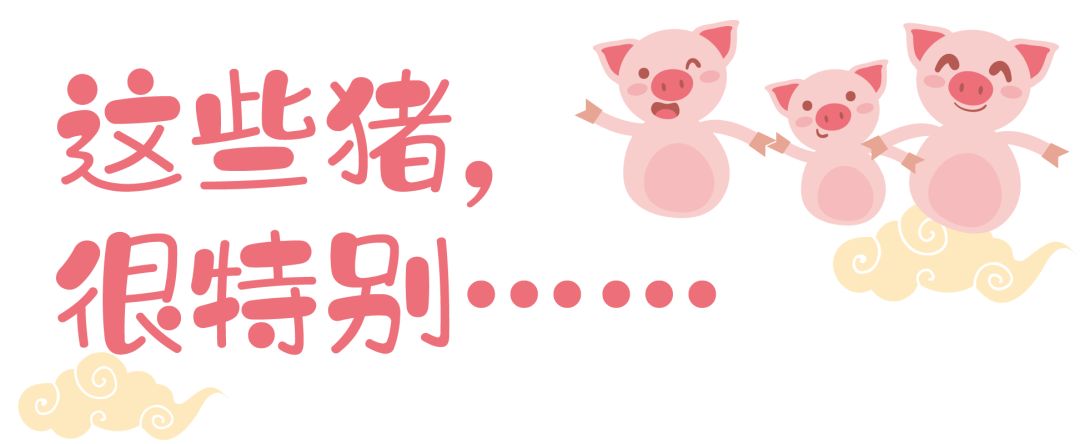 什么？全抢光了？所以杭州到底还能买到哪些猪年限定啊？！