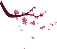 佩服！杭州老师让女儿转学4600公里外西部小学，理由很“幸福”