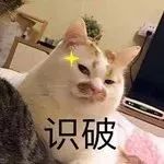 德清未来几天的天气预报,德清下雪最新消息