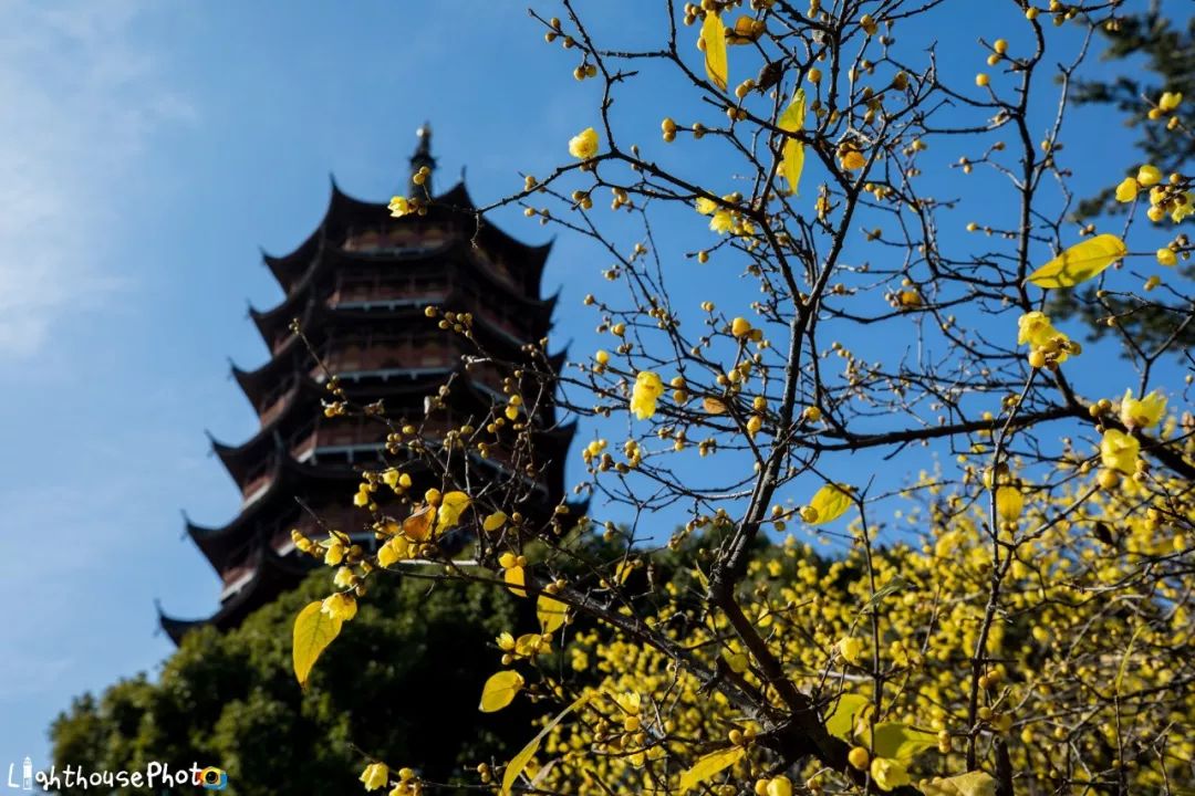 热血沸腾！你住苏州哪个区，赶快来看看2019都有哪些好事