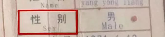 被这个翻译气笑了！但更扯的是它背后的组织……