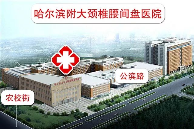 你家睡啥床?你常玩手机?腰痛难忍反复发作、久治不愈,腰间的不能承受之痛该如何缓解?