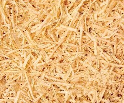 被扎一下就要去医院,被扎一下手就要去医院