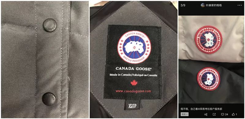 在网易考拉买的5500元加拿大鹅是假货？最新进展来了！