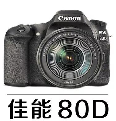 新手必须掌握的7个微距摄影技巧,光影留情谈微距拍摄技巧