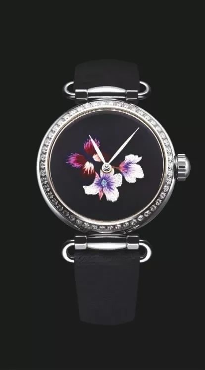 彩云飞处海鸥飞精彩片段,海面海鸥飞风景视频素材