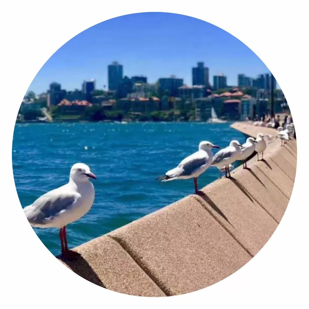 澳洲大堡礁攻略,澳洲大堡礁如何玩