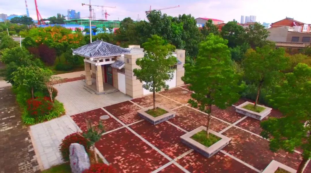 洛阳市重大发展,洛阳市发展最新消息