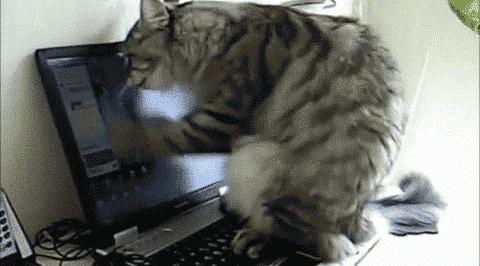 为什么把显示器垫高了眼睛不舒服,有没有必要把电脑显示屏垫高