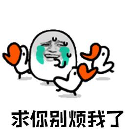 推荐小众高级感大包包,包包推荐小众高级感平价托特包