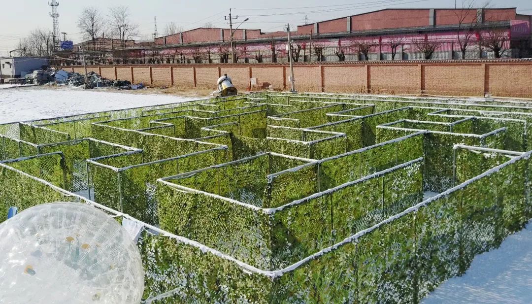 开展迎冬奥和冰雪运动团日活动,迎冬奥庆新春特色活动