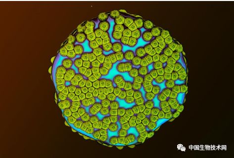有没有什么可以消除记忆的药物,有趣药
